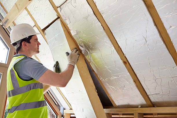 Best Residential Insulation Services  in USA